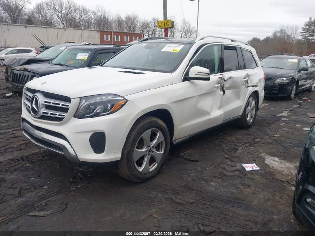 2019 MERCEDES-BENZ GLS 450 4JGDF6EE9KB224894 Photo 1