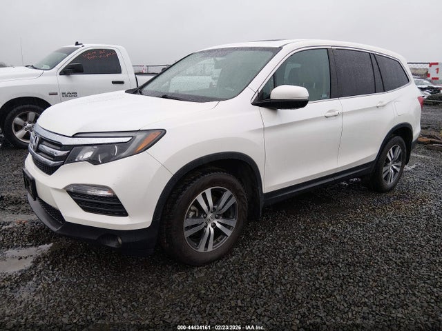 5FNYF6H51JB058092 Honda Pilot Ex-l
