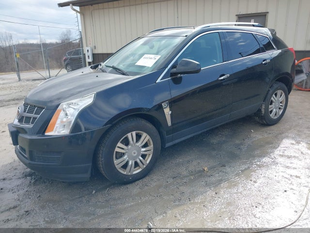 2011 CADILLAC SRX 3GYFNAEY3BS581838 Photo 1