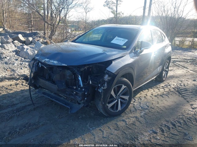Продаж на аукціоні авто 2019 Lexus Nx 300, vin: JTJYARBZ0K2146368, номер лоту: 44435789