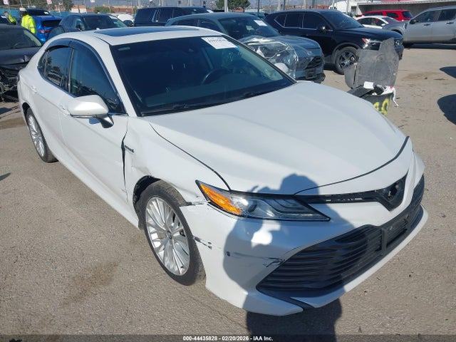 2020 TOYOTA CAMRY 4T1F31AKXLU525454