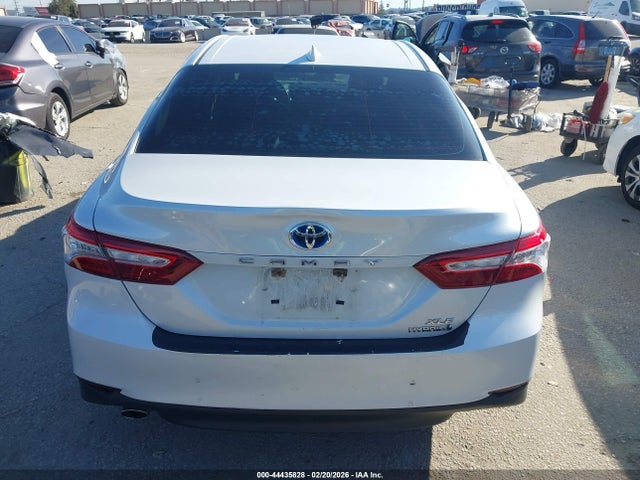 4T1F31AKXLU525454 Toyota Camry Xle Hybrid
