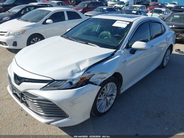 2020 TOYOTA CAMRY 4T1F31AKXLU525454 Photo 1