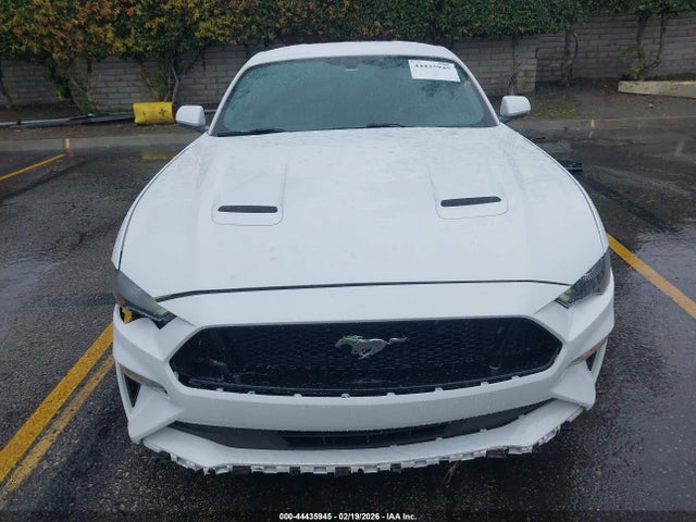 Ford Mustang Ecoboost 2018 1FA6P8TH6J5184859 Image 12