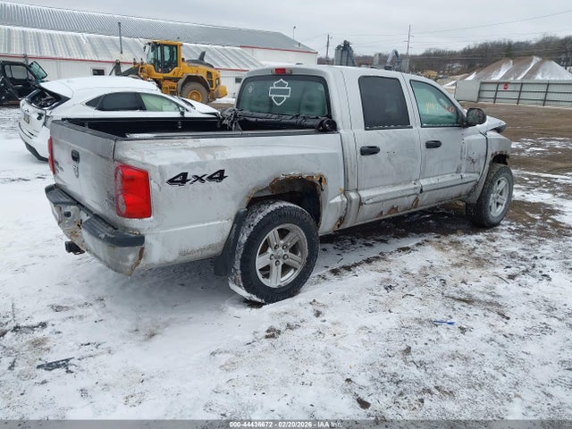 44436672 :رقم المزاد ، 1D7HW48P67S144408 vin ، 2007 Dodge Dakota Slt مزاد بيع