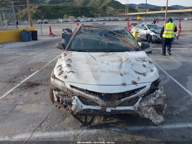 4T1KZ1AK1MU051781 Toyota CAMRY TRD