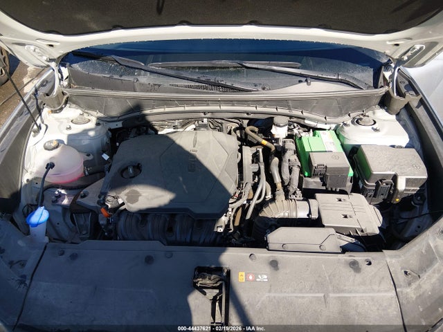 Hyundai TUCSON SEL 2024 5NMJBCDE8RH296856 Image 10