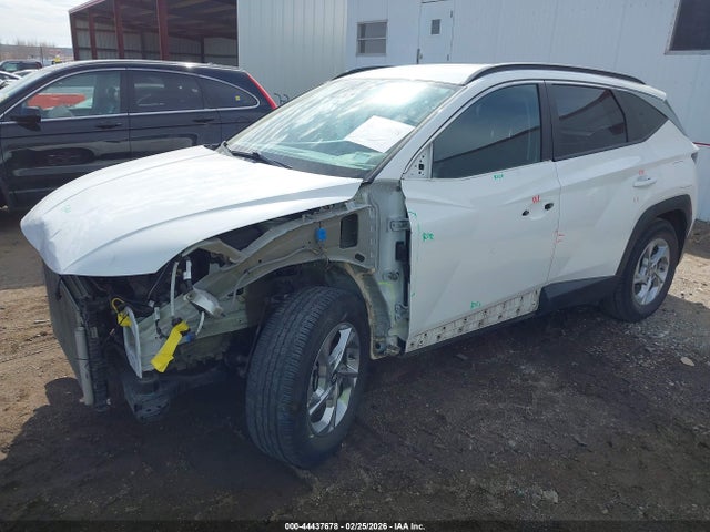 Продажа на аукционе авто 2023 Hyundai Tucson Sel, vin: 5NMJB3AE0PH228911, номер лота: 44437678