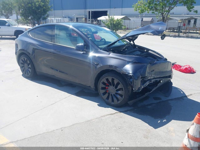 2024 TESLA MODEL Y 7SAYGDEFXRF087751 Photo 0