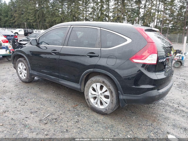 Honda Cr-v Ex-l 2014 2HKRM4H72EH684483 Image 3