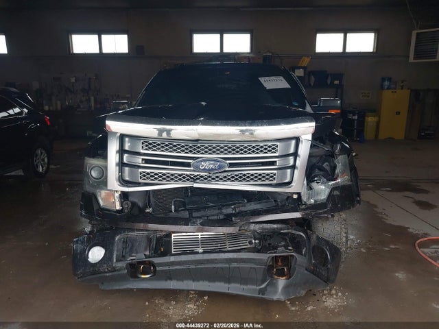 44439272 :رقم المزاد ، 1FTFW1ET8DFC73661 vin ، 2013 Ford F-150 Platinum مزاد بيع