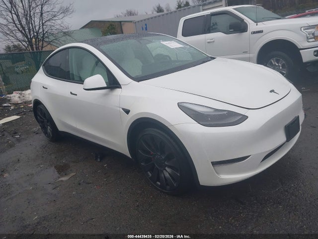 2023 TESLA MODEL Y 7SAYGDEF8PF914515 Photo 0