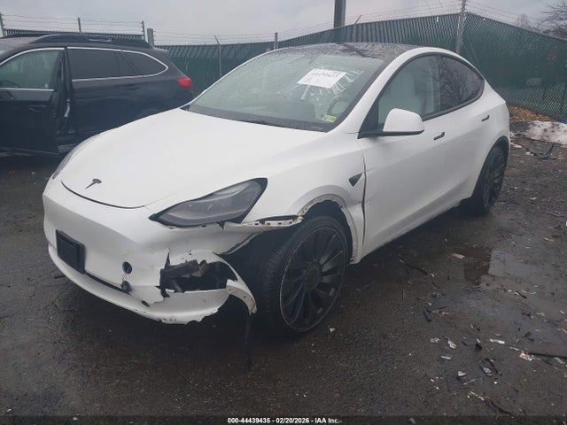 2023 TESLA MODEL Y 7SAYGDEF8PF914515 Photo 1