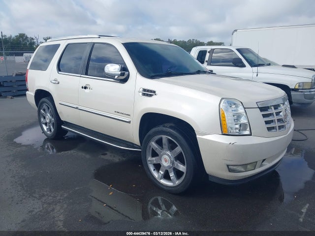 2013 CADILLAC ESCALADE 1GYS4BEF5DR206464