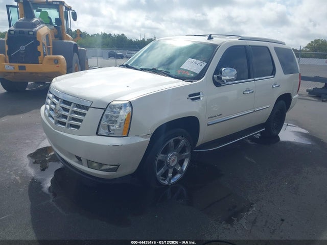 2013 CADILLAC ESCALADE 1GYS4BEF5DR206464 Photo 1