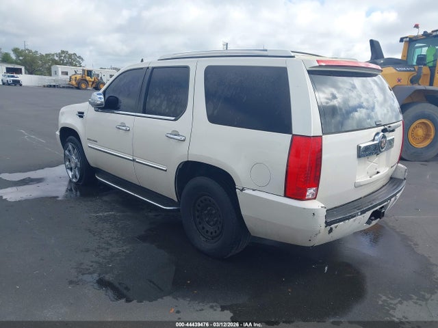 2013 CADILLAC ESCALADE 1GYS4BEF5DR206464 Photo 2