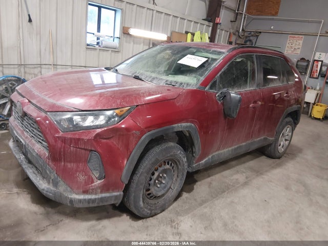 2019 Toyota Rav4 Le მანქანა იყიდება აუქციონზე, vin: JTMF1RFV4KD007852, აუქციონის ნომერი: 44439766