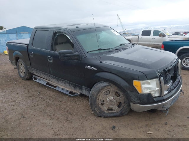 44441074 :رقم المزاد ، 1FTFW1EVXAFD34456 vin ، 2010 Ford F-150 Fx4/harley-davidson/king Ranch/lariat/platinum/xl/xlt مزاد بيع