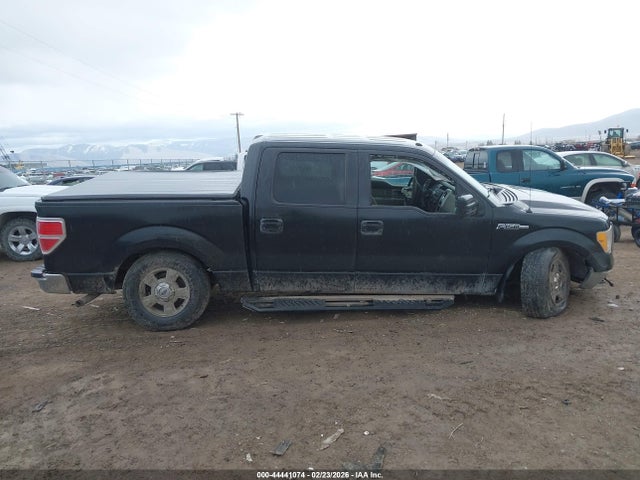 44441074 :رقم المزاد ، 1FTFW1EVXAFD34456 vin ، 2010 Ford F-150 Fx4/harley-davidson/king Ranch/lariat/platinum/xl/xlt مزاد بيع