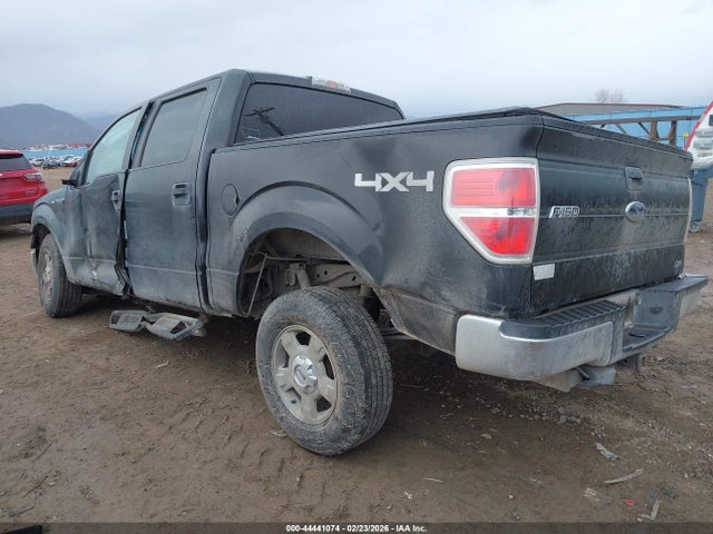 44441074 :رقم المزاد ، 1FTFW1EVXAFD34456 vin ، 2010 Ford F-150 Fx4/harley-davidson/king Ranch/lariat/platinum/xl/xlt مزاد بيع