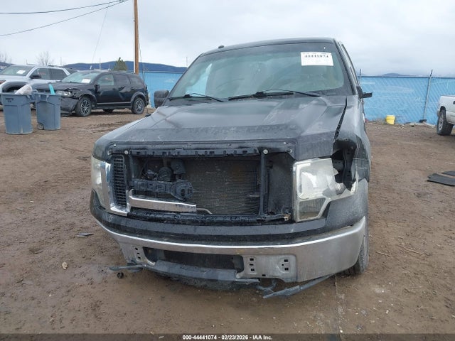 44441074 :رقم المزاد ، 1FTFW1EVXAFD34456 vin ، 2010 Ford F-150 Fx4/harley-davidson/king Ranch/lariat/platinum/xl/xlt مزاد بيع