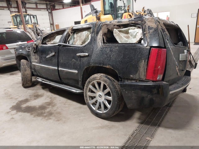 2010 Cadillac Escalade Luxury მანქანა იყიდება აუქციონზე, vin: 1GYUKBEF9AR148417, აუქციონის ნომერი: 44441778