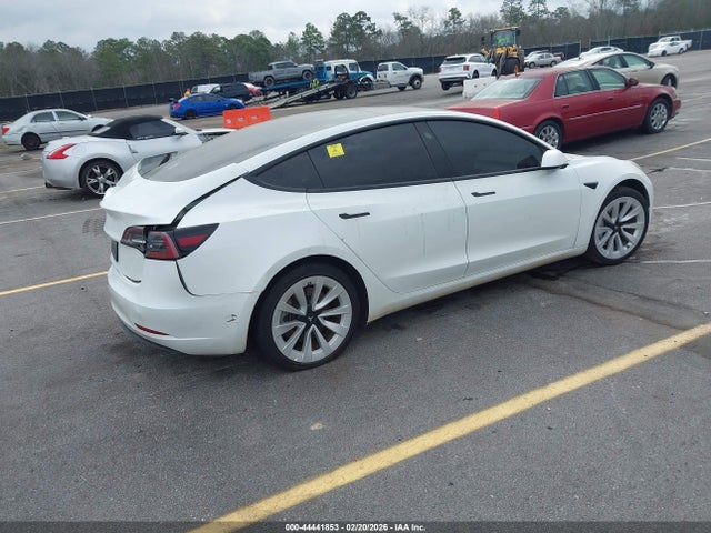 2023 TESLA MODEL 3 5YJ3E1EA7PF451282 Photo 3