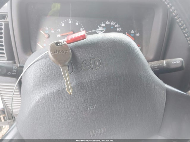 2002 JEEP WRANGLER 1J4FA49S32P735059 Photo 10