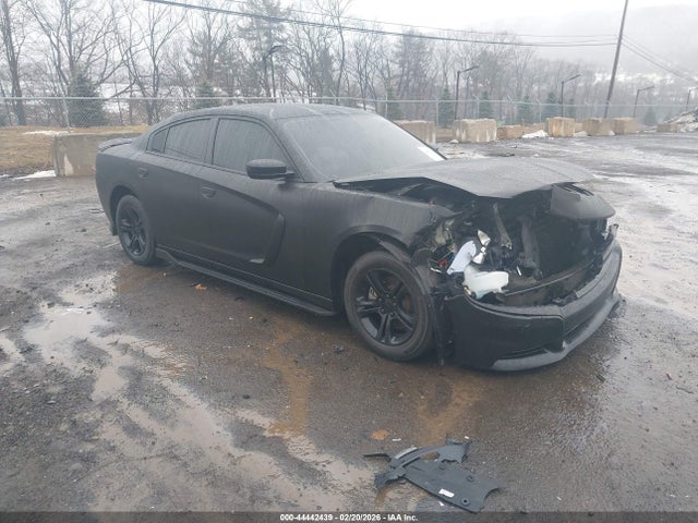 44442439 :رقم المزاد ، 2C3CDXBG3PH547035 vin ، 2023 Dodge Charger Sxt مزاد بيع