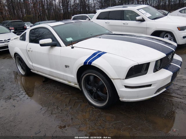 2006 FORD MUSTANG 1ZVFT82H665165434