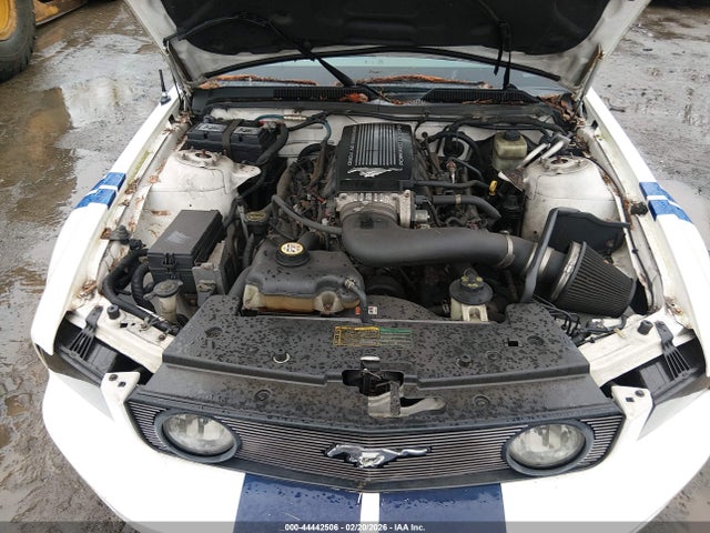 2006 FORD MUSTANG 1ZVFT82H665165434 Photo 9
