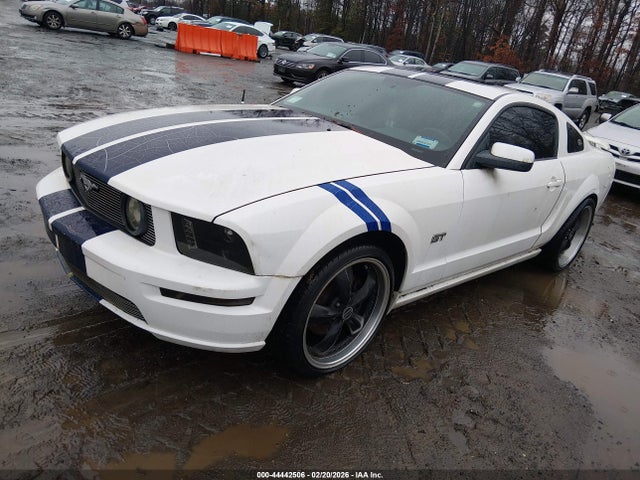 2006 FORD MUSTANG 1ZVFT82H665165434 Photo 1
