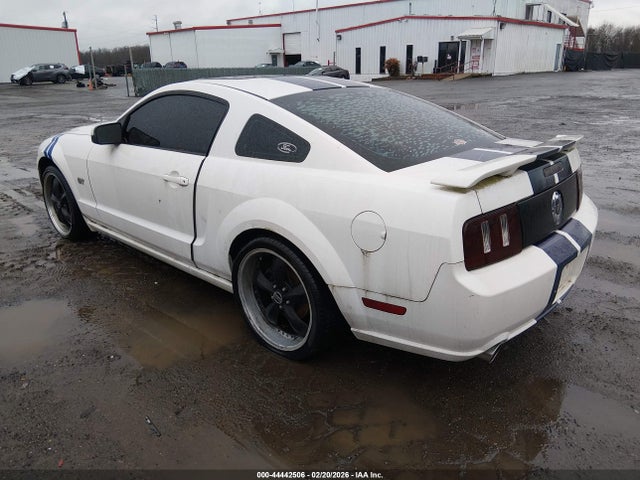 2006 FORD MUSTANG 1ZVFT82H665165434 Photo 2