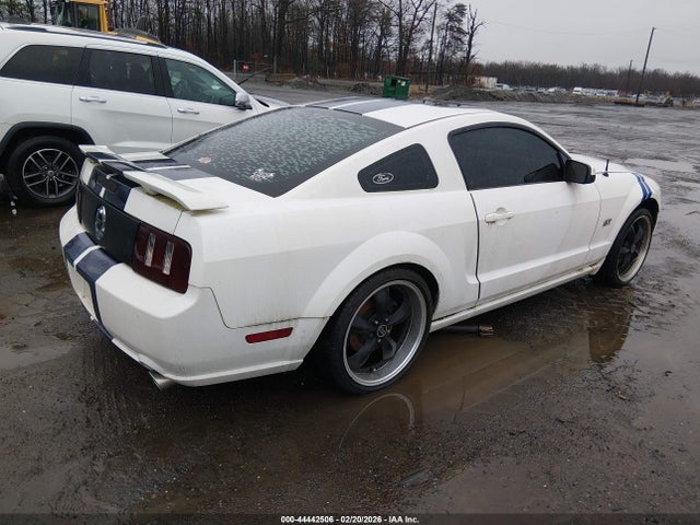 2006 FORD MUSTANG 1ZVFT82H665165434 Photo 3