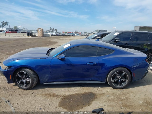 Ford Mustang Ecoboost Fastback 2024 1FA6P8TH5R5146776 Image 14
