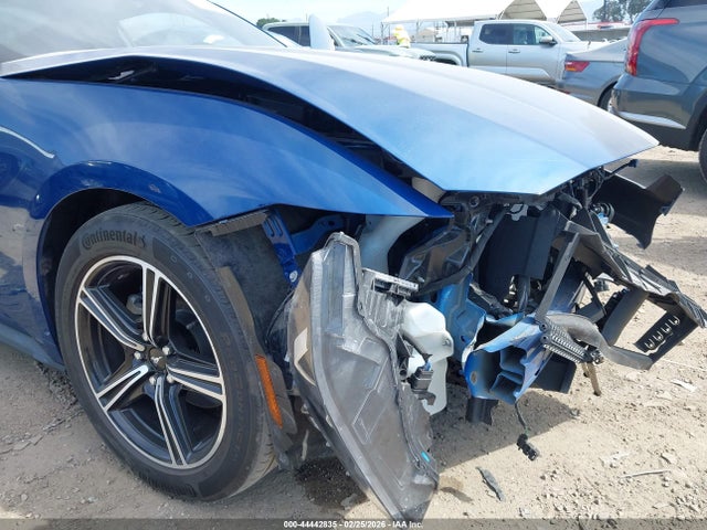 Ford Mustang Ecoboost Fastback 2024 1FA6P8TH5R5146776 Image 17