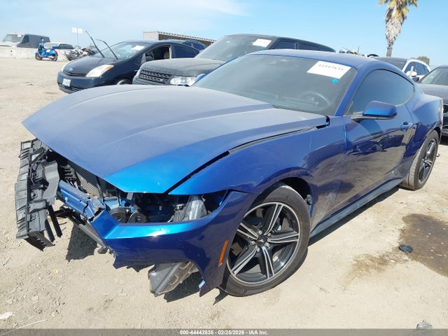 Ford Mustang Ecoboost Fastback 2024 1FA6P8TH5R5146776 Image 2