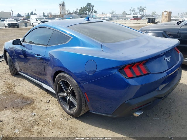 Ford Mustang Ecoboost Fastback 2024 1FA6P8TH5R5146776 Image 3