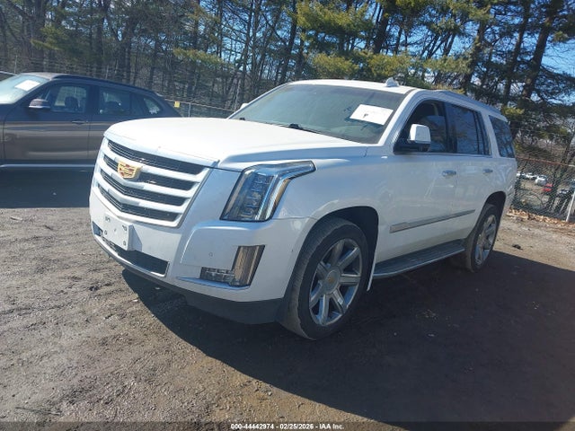 2016 CADILLAC ESCALADE 1GYS4BKJ3GR194814 Photo 1