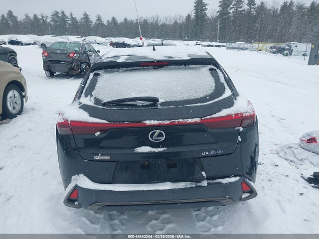 2019 Lexus Ux 250h F Sport მანქანა იყიდება აუქციონზე, vin: JTHU9JBH4K2018281, აუქციონის ნომერი: 44443344
