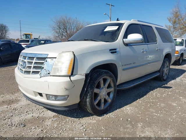 2007 CADILLAC ESCALADE ESV 1GYFK66847R301455 Photo 1
