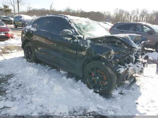2019 ALFA ROMEO STELVIO ZASPAKBN8K7C59949