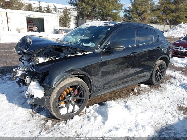 2019 ALFA ROMEO STELVIO ZASPAKBN8K7C59949 Photo 1