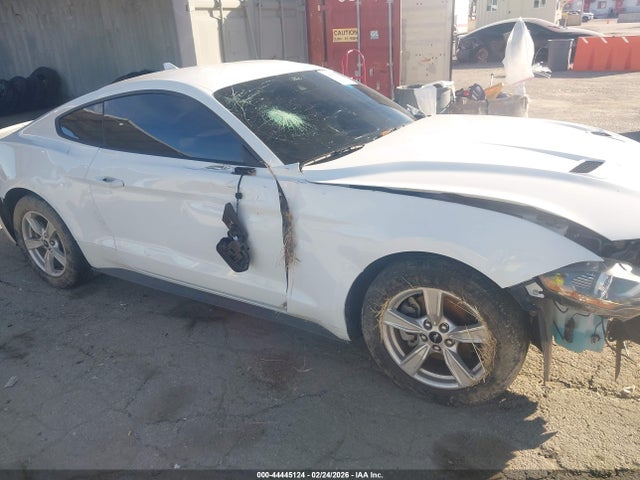 Ford Mustang Ecoboost Fastback 2023 1FA6P8TH6P5101472 Image 16