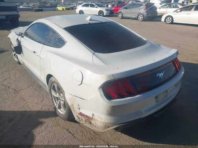 Ford Mustang Ecoboost Fastback 2023 1FA6P8TH6P5101472 Image 3