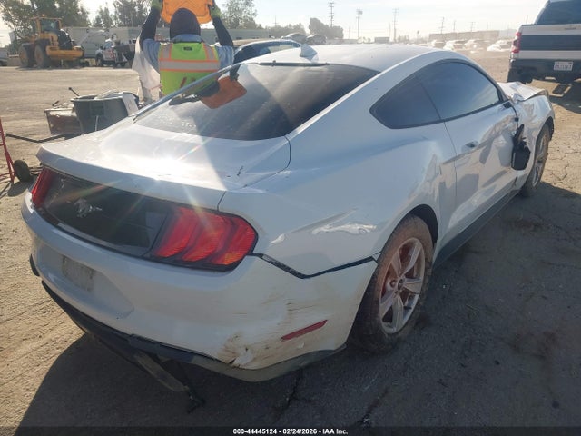 Ford Mustang Ecoboost Fastback 2023 1FA6P8TH6P5101472 Image 4