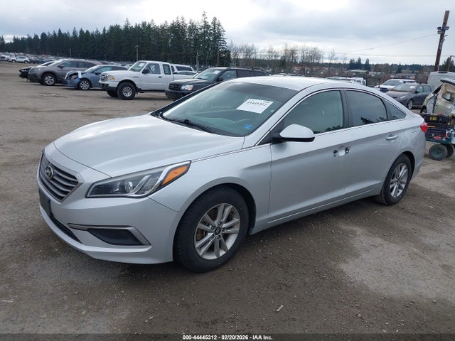 5NPE24AFXHH559466 Hyundai Sonata