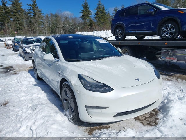 2020 TESLA MODEL 3 5YJ3E1EA3LF613497
