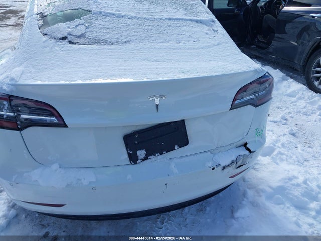 2020 TESLA MODEL 3 5YJ3E1EA3LF613497 Photo 5