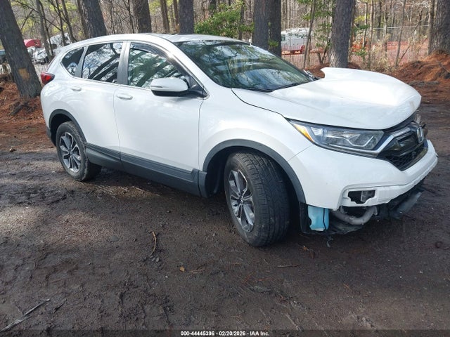 2022 HONDA CR-V 5J6RW1H82NL001804